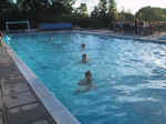 Swim07.jpg (61911 bytes)